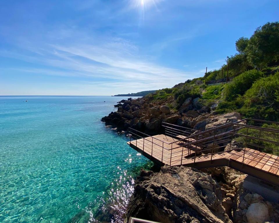 02ef5a29-ace9-40ed-84a4-3238e9f222ec