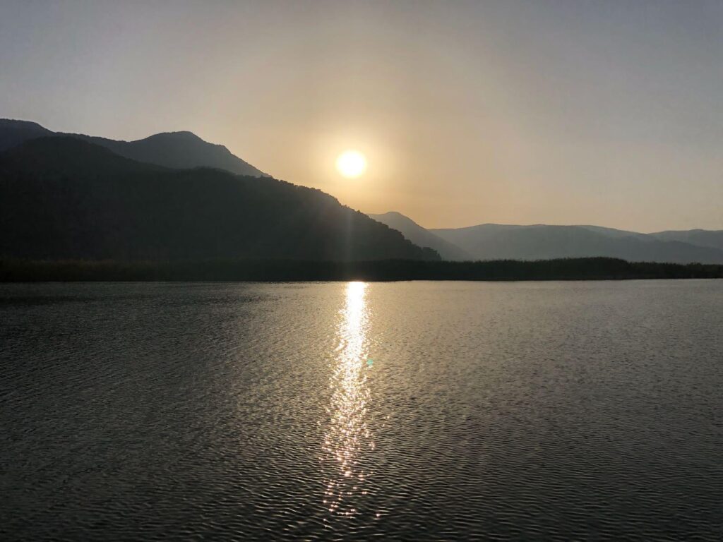 WhatsApp Image 2025-11-24 at 13.36.02