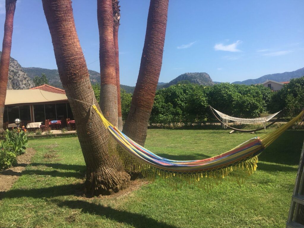 WhatsApp Image 2025-11-24 at 13.37.48